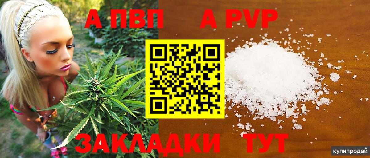 Alfa_PVP СК Энгельс