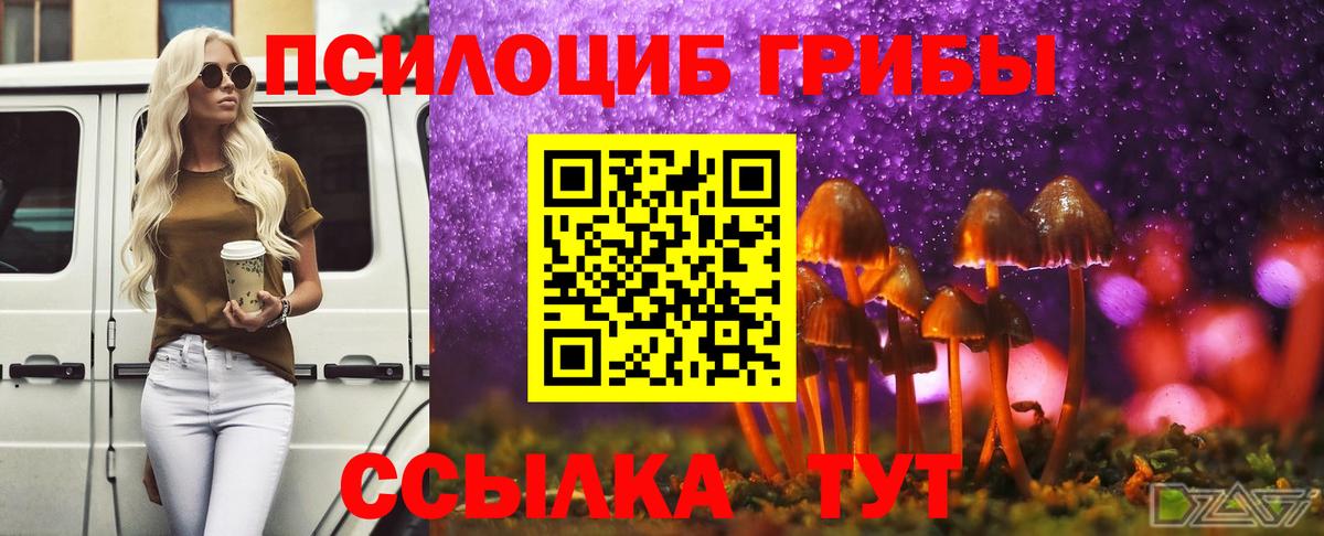 Энгельс  Галлюциногенные грибы GOLDEN TEACHER  наркотики  Вход с VPN 