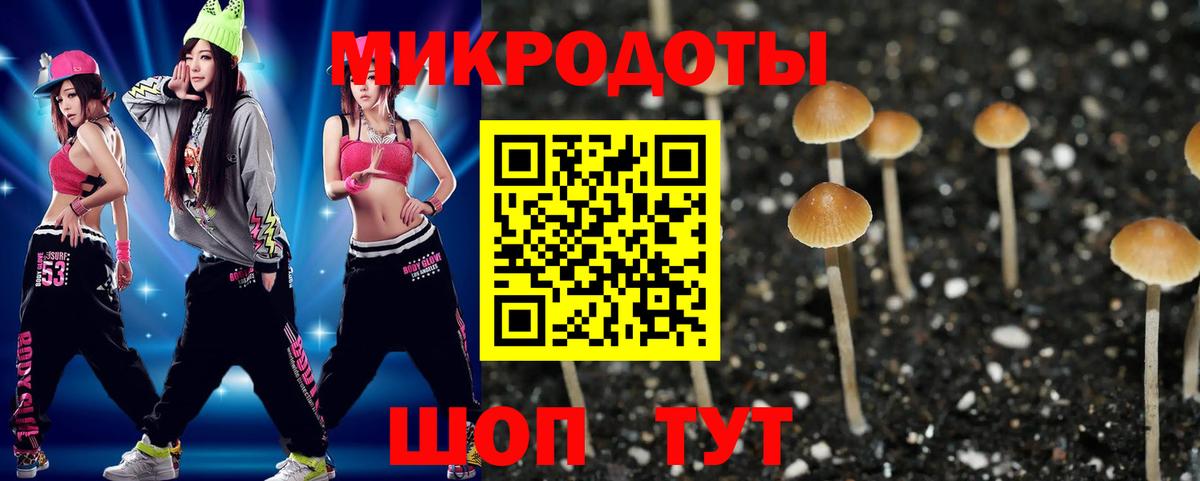 Псилоцибиновые грибы GOLDEN TEACHER Энгельс